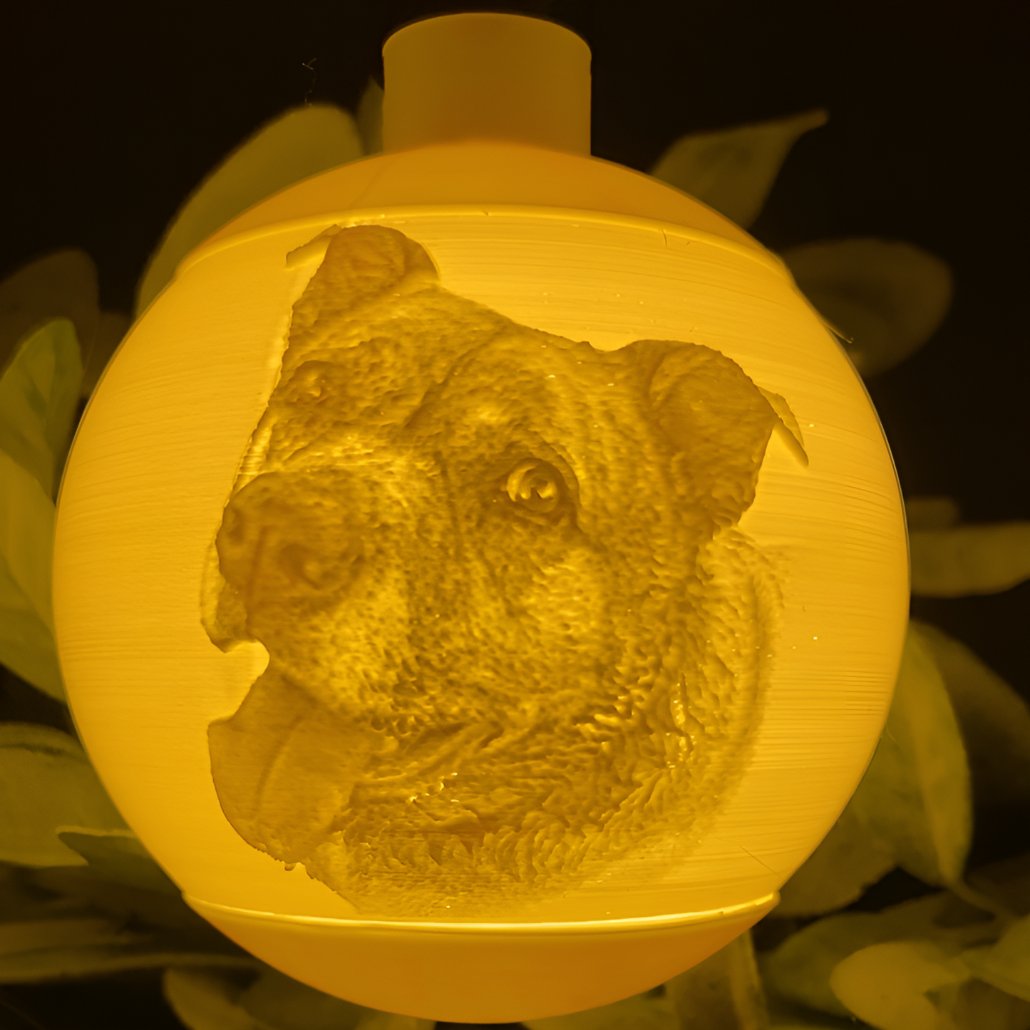 3D Printed Photo Ornament